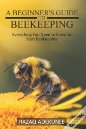 Capa do artigo A Beginner