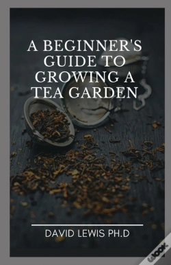 Capa do artigo A Beginner'S Guide To Growing A Tea Garden