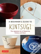 Capa do artigo A Beginner