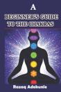 A Beginner'S Guide To The Chakras - Preview