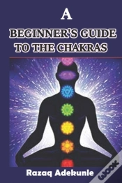 Capa do artigo A Beginner