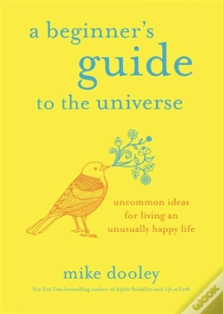 Capa do artigo A Beginner'S Guide To The Universe
