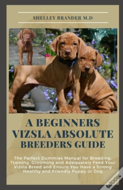 Capa do artigo A Beginners Vizsla Absolute Breeders Guide