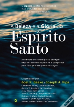 Capa do artigo A Beleza E A Glória Do Espírito Santo