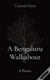 Capa do artigo A Bengaluru Walkabout