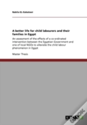 Capa do artigo A Better Life For Child Labourers And Their Families In Egypt