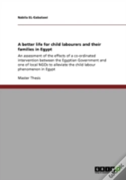 Capa do artigo A Better Life For Child Labourers And Their Families In Egypt