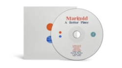 Capa do artigo A Better Place - CD
