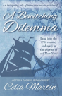 A Bewitching Dilemma - Preview