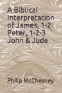 A Biblical Interpretation Of James, 1-2 Peter, 1-2-3 John & Jude - Preview