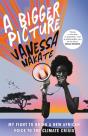 A Bigger Picture - Preview
