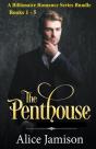 A Billionaire Romance Series Bundle Book - Preview