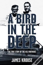 Capa do artigo A Bird In The Deep