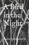 A Bird In The Night