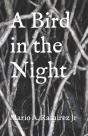 A Bird In The Night - Preview