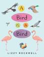 A Bird Is A Bird - Preview