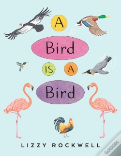Capa do artigo A Bird Is A Bird