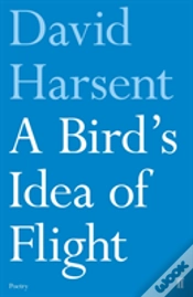 Capa do artigo A Bird
