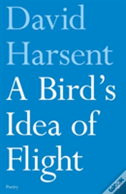 Capa do artigo A Bird'S Idea Of Flight