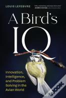 A Bird'S Iq