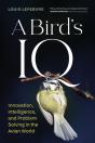 A Bird'S Iq - Preview