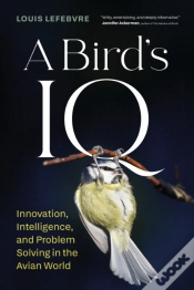 Capa do artigo A Bird