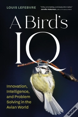 Capa do artigo A Bird'S Iq