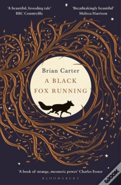 Capa do artigo A Black Fox Running