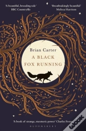 Capa do artigo A Black Fox Running