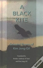 A Black Kite