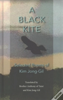 Capa do artigo A Black Kite