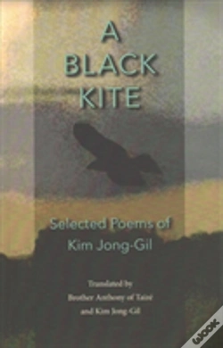 Capa do artigo A Black Kite