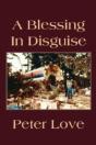 A Blessing In Disguise - Preview