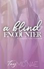 A Blind Encounter - Preview