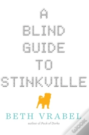 Capa do artigo A Blind Guide To Stinkville