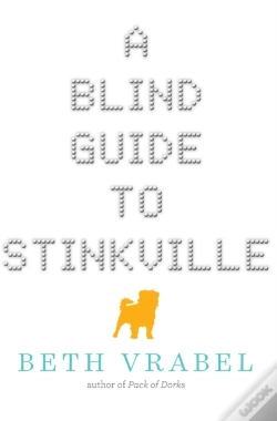 Capa do artigo A Blind Guide To Stinkville