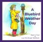 A Bluebird Weather Day - Preview