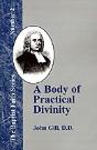 A Body Of Practical Divinity - Preview
