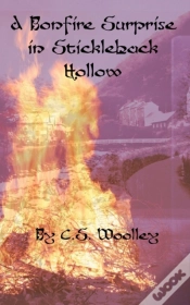 Capa do artigo A Bonfire Surprise In Stickleback Hollow