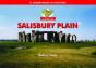 A Boot Up Salisbury Plain - Preview