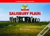 Capa do artigo A Boot Up Salisbury Plain