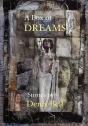 A Box Of Dreams - Preview