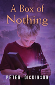 A Box Of Nothing