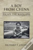 A Boy From China
