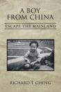 A Boy From China - Preview