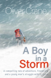 A Boy In A Storm