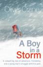 A Boy In A Storm - Preview