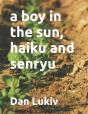 A Boy In The Sun, Haiku And Senryu - Preview