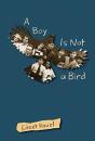 A Boy Is Not A Bird - Preview