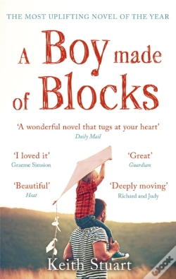 Capa do artigo A Boy Made Of Blocks